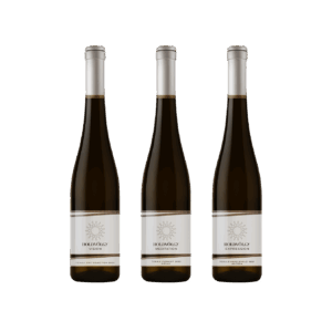 adventi várakozás borválogatás